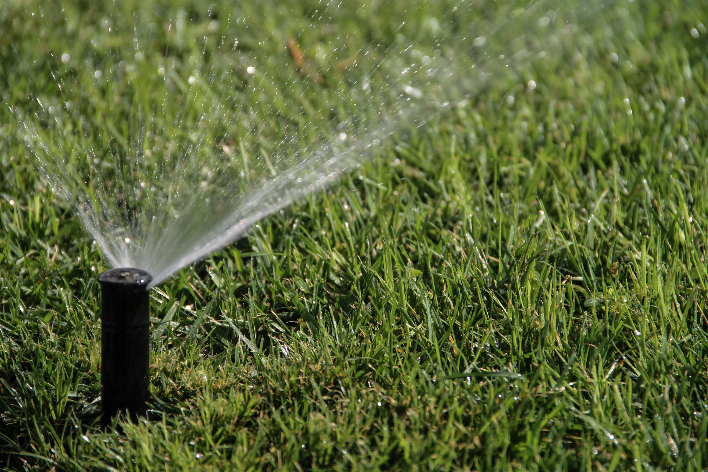 Reclaimed Water Image